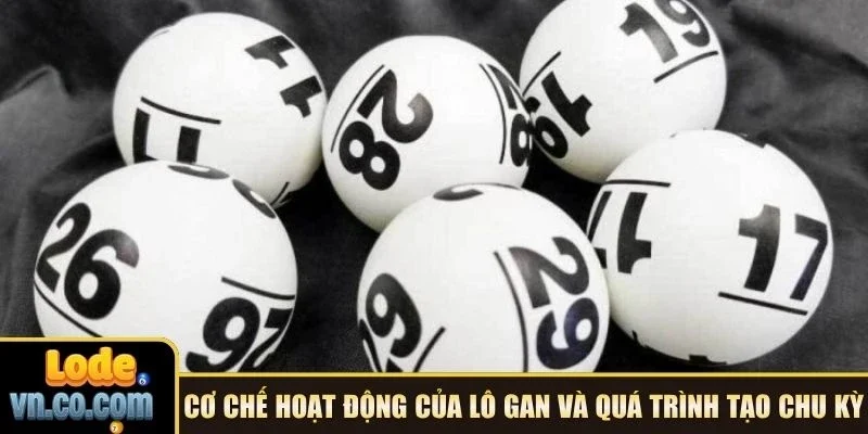 Cơ chế hoạt động của lô gan và quá trình tạo chu kỳ