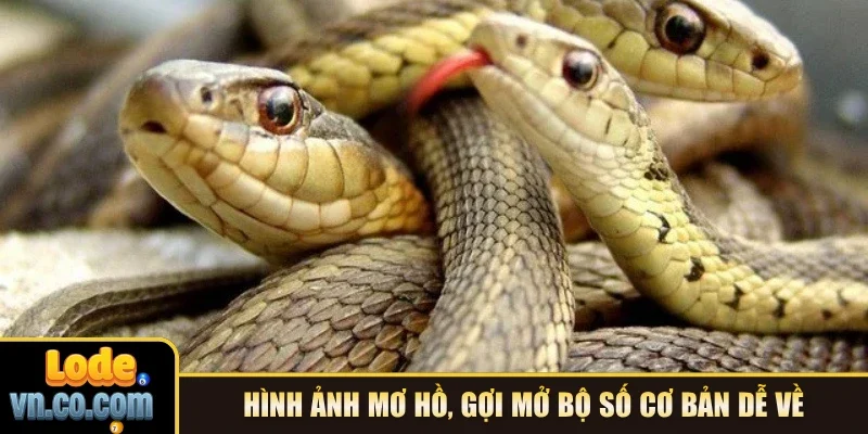 Hình ảnh mơ hồ, gợi mở bộ số cơ bản dễ về