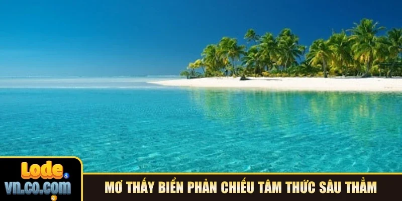 Mơ thấy biển phản chiếu tâm thức sâu thẳm 