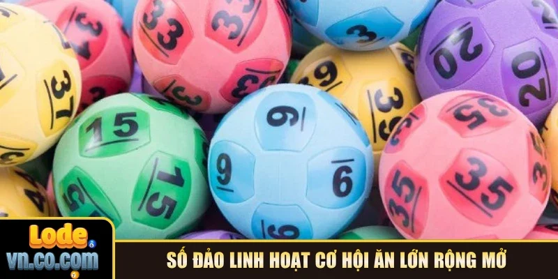 Số đảo linh hoạt cơ hội ăn lớn rộng mở