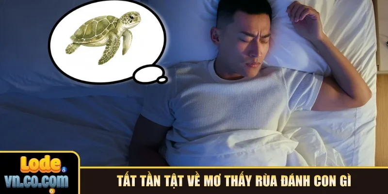Tất tần tật về mơ thấy rùa đánh con gì